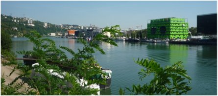 Marché immobilier à Lyon : le quartier Confluence