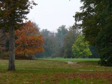 Côté Acheteur Yvelines fête en octobre 2010 ses 3 ans d'activité !!